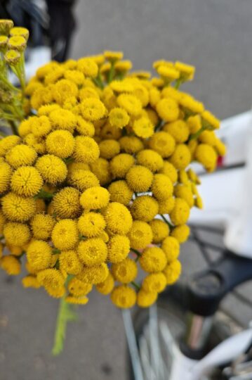 wrotycz-naturoterapia-tuchola-kasia-tyda