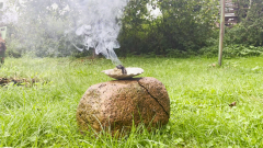 moksa-w-ogrod-bory-tucholskie-tuchola